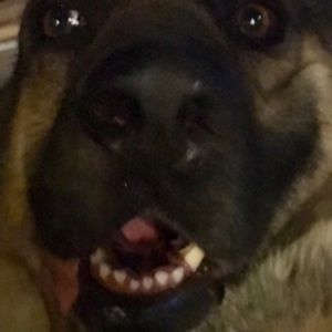 Meet your Posher, Aldana